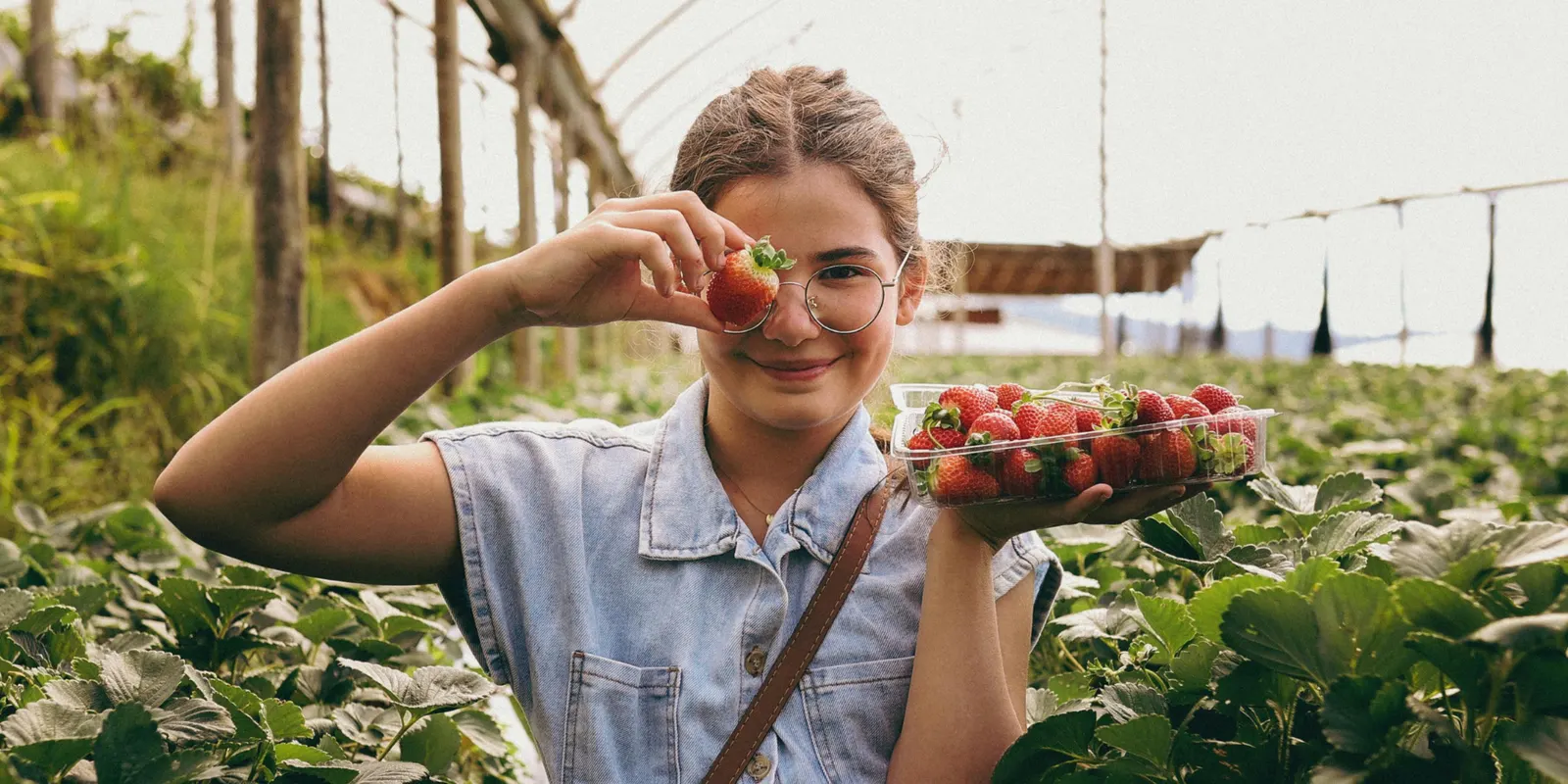 Woman holding up a strawberry in a strawberry field, with a bowl of picked fruit