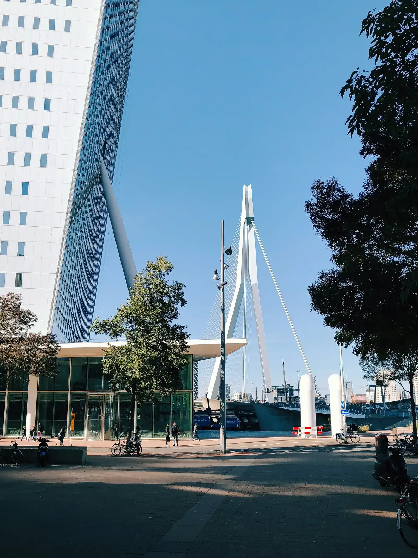 The white Erasmus Bridge in Rotterdam, home of Fooditive, against a blue sky